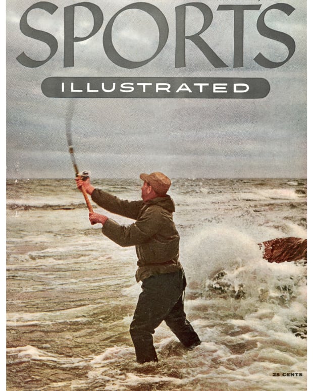 40833 - Cover Image